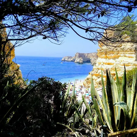 Luxury & Private Heatable Pool In 빌라